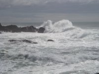 WAVE.jpg