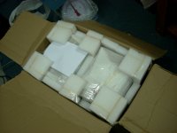 DSCN2595.jpg