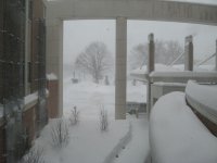 Snow.jpg
