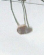 IMG0111A.jpg