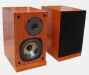 SEAS T14RCY ProAc Clone.jpg