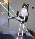 LaserCat1.jpg