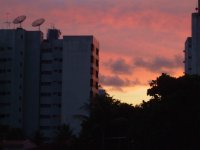 Dx Corporation Sunrise.jpg