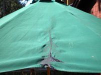 umbrella 2 small.JPG