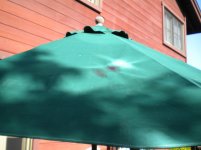 umbrella 3.JPG