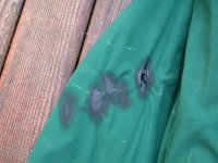 DSCN6125.JPG
