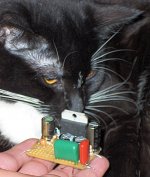TDA7294 Smells Good!.jpg