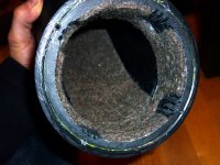 triffidus-02.jpg