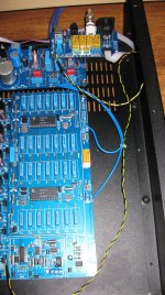 IMG_0088.jpg