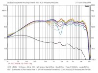 Schumacher Pair 20°.jpg