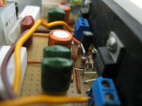 Gainclone_LM1875_01 005.jpg