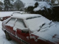 snowy 007.jpg