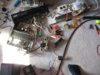 IMG_6884(small).JPG