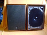 yamaha_ns250_3.jpg