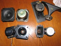 IMG_6795.jpg
