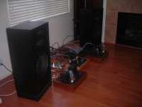Randall Linestage, Randall 300B DRD SET Monoblocks, Suppo GV-1, Playstation 1.JPG