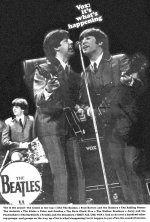 VOX-Super-Beatle 1141 + Beatels.jpg