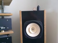 12062010238.jpg