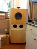 EV SP12B in BR enclosure.JPG