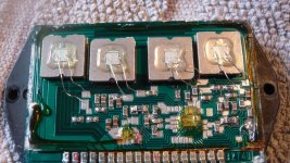 chip (1632 x 920).jpg
