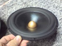 DSC02564.jpg