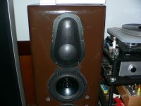 Energy Woofer 016.jpg