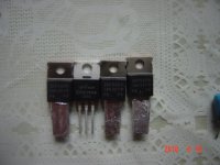 DSC04094.JPG