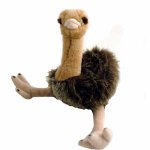 emu.jpg
