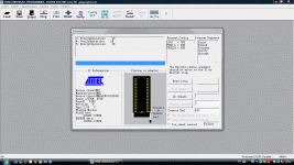 program.gif