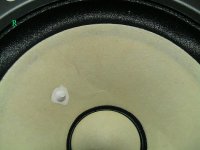 IMG_0303.JPG