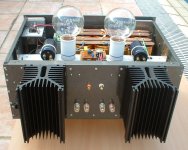 Delite Amplifier pic17 17-7-2010.jpg