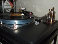 2010005w.jpg