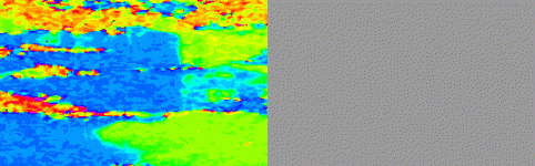 test.gif
