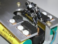 p17.jpg