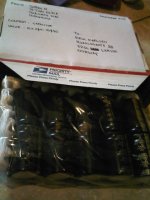 IMG01391-20101215-0640.jpg