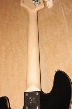 IMG_1334 (Large).JPG