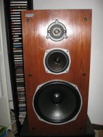 celestion.jpg