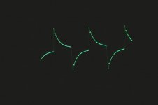 Chenin Scope Traces 004.jpg