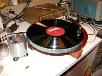 Phenolic_Wonder1_scaled.jpg