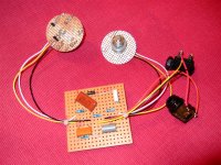 DSCF2509 (Large).jpg