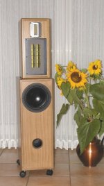 fs21 speaker design.jpg