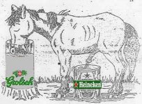 grolsch-pils.jpg