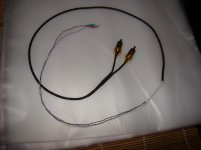 DSC09135.jpg