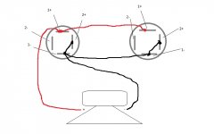 speakon stereo or bridged mono wiring.jpg