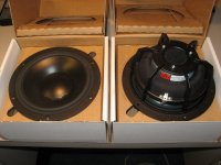 Pair1.jpg