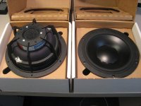 Pair2.jpg