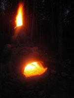 firefrogb (609 x 812).jpg