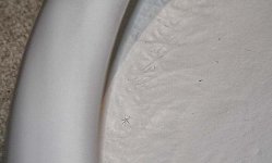 IMG_3288.jpg