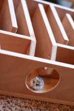 Hamster in Saburo.jpg