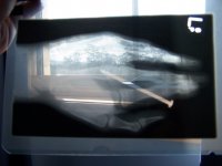 hand002.jpg